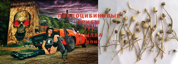 бошки Алзамай