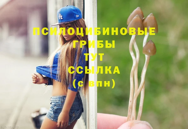 бошки Алзамай