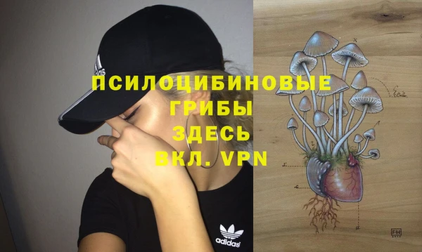 кокс Алексеевка