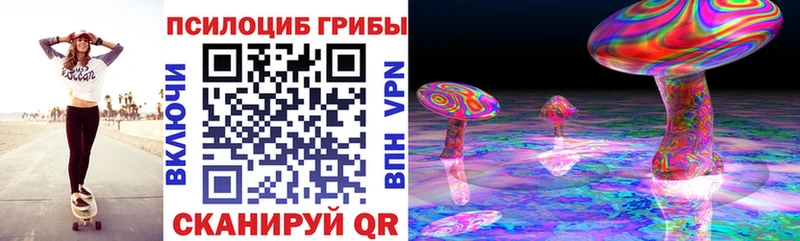 Псилоцибиновые грибы прущие грибы  Кинель 