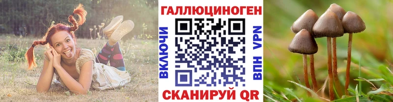 Галлюциногенные грибы MAGIC MUSHROOMS Кинель